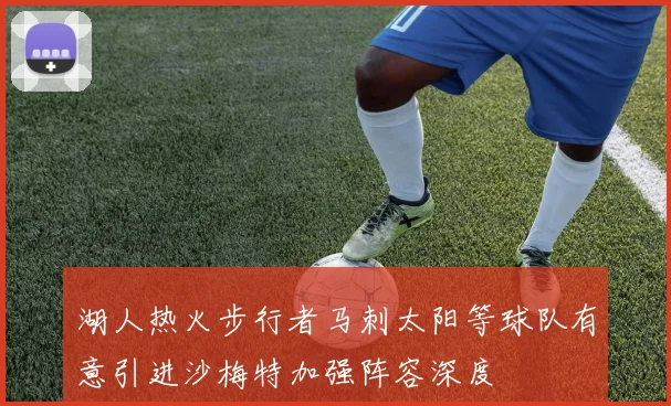 湖人热火步行者马刺太阳等球队有意引进沙梅特加强阵容深度